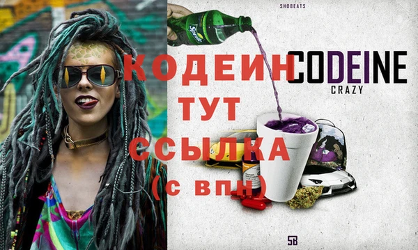 соль ск Туринск