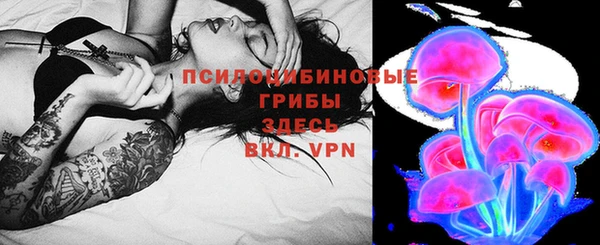бутират Горняк