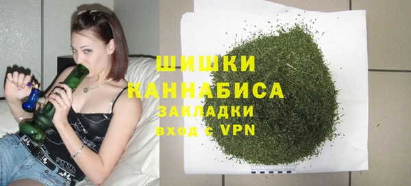 твердый Горнозаводск